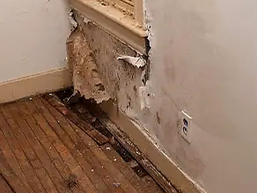 Water-damaged wall with failed plaster, stained baseboard and buckled hardwood flooring